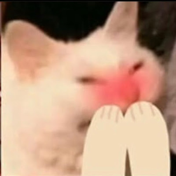 Meet your Posher, Kaitlyn - Picture 1 of 1